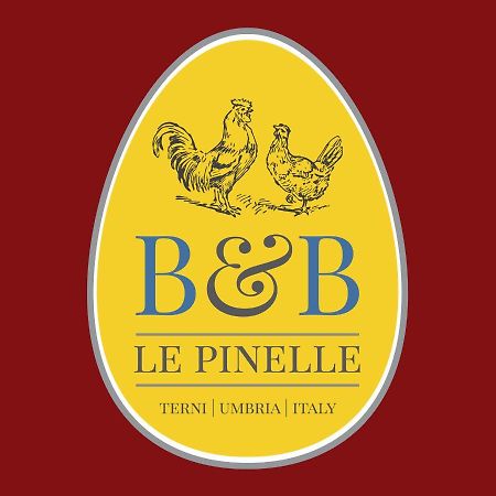 特尔尼Le Pinelle住宿加早餐旅馆 外观 照片